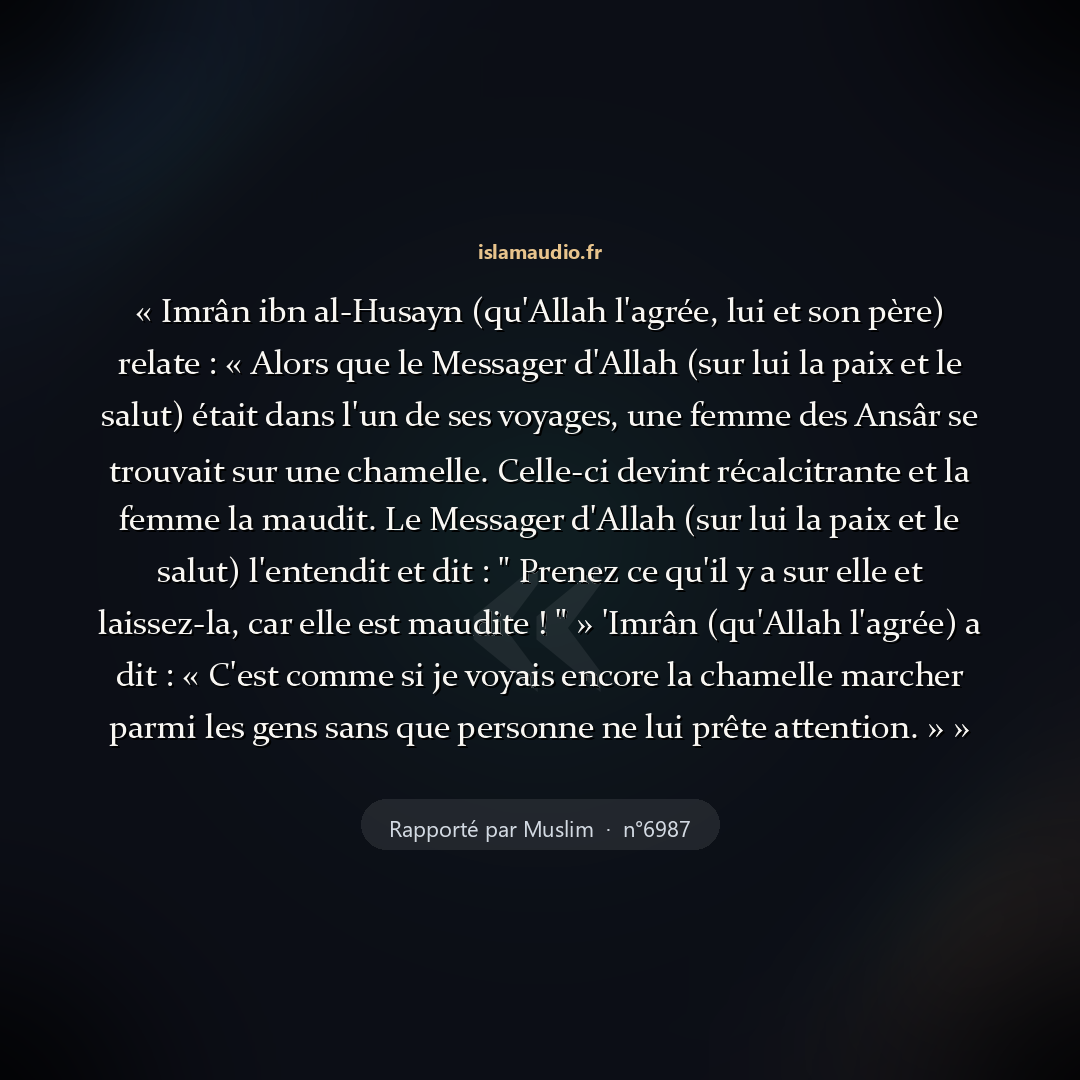 Aperçu du hadith