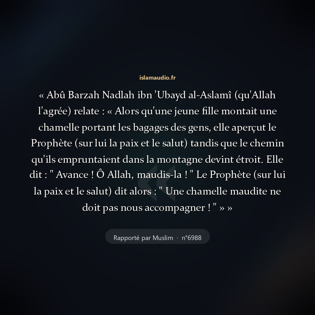 Aperçu du hadith
