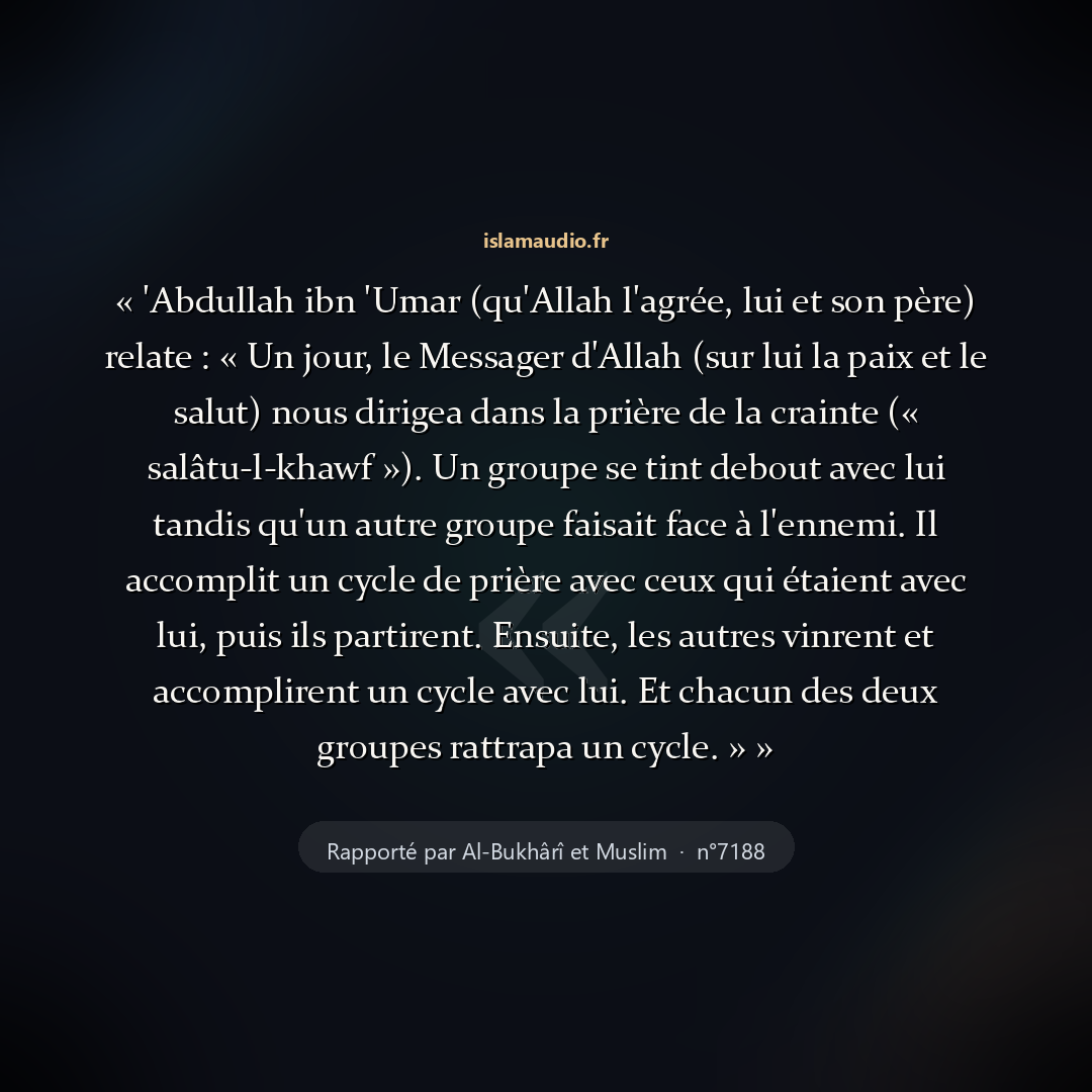 Aperçu du hadith