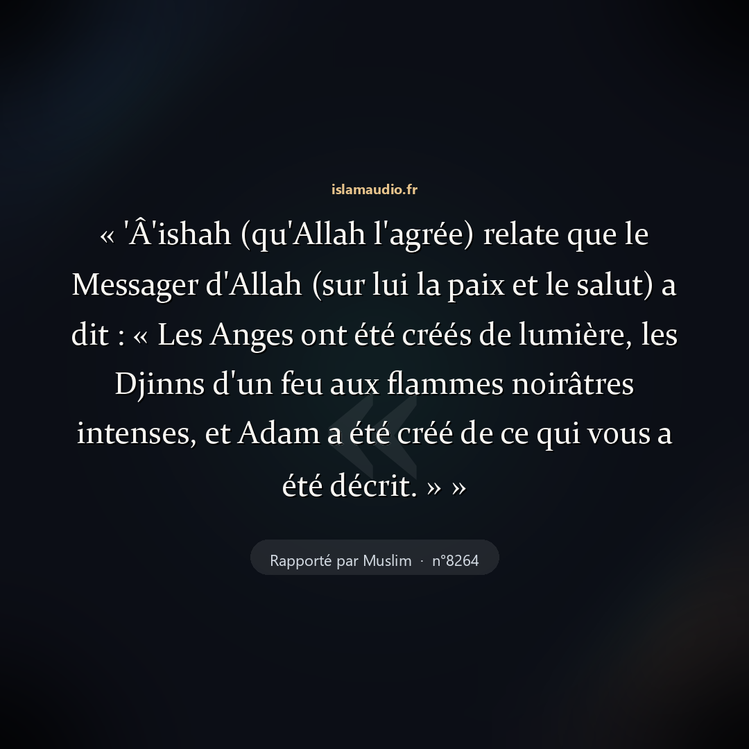 Aperçu du hadith