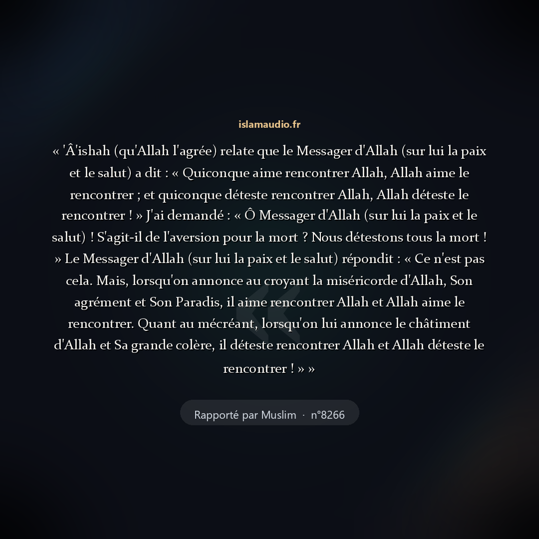 Aperçu du hadith