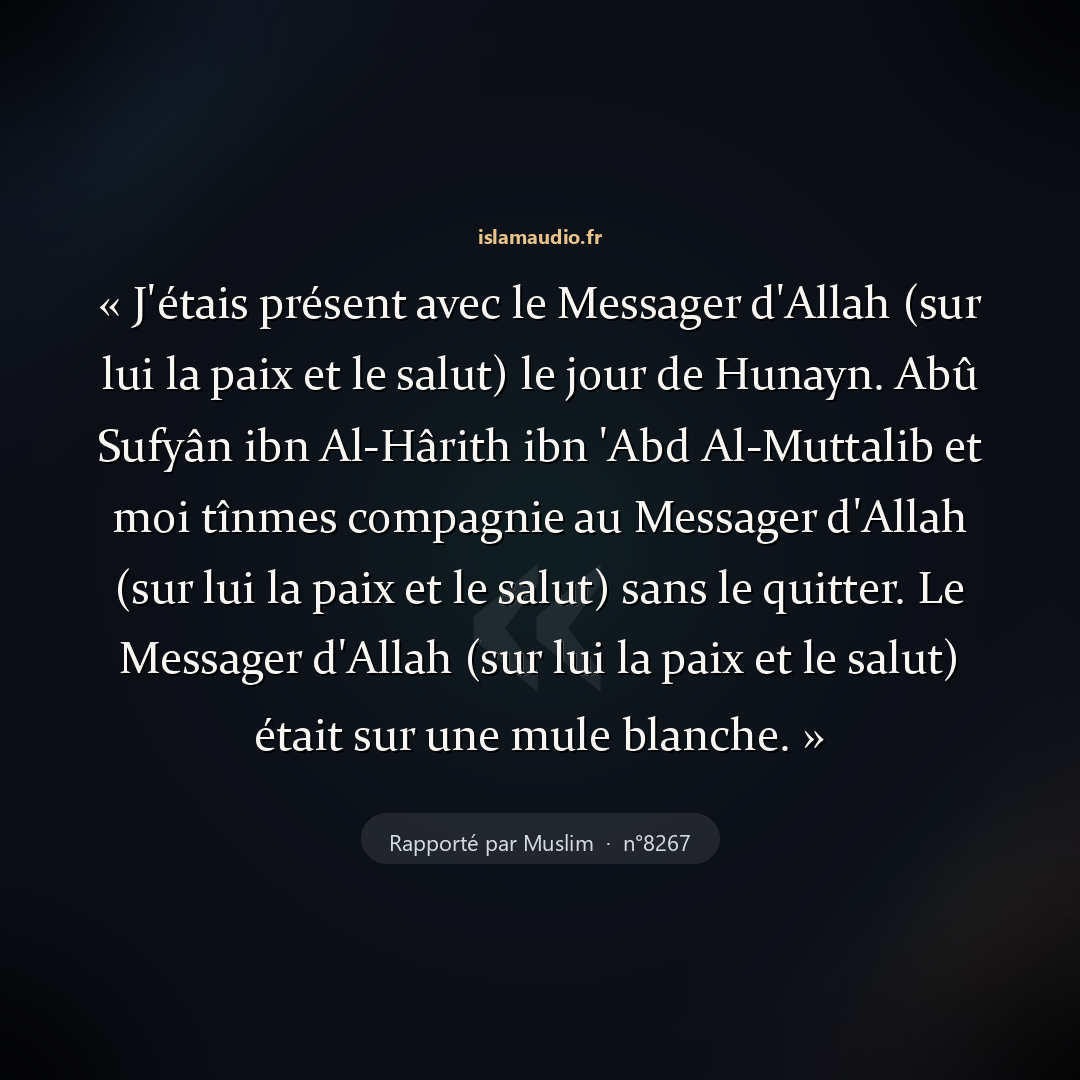 Aperçu du hadith