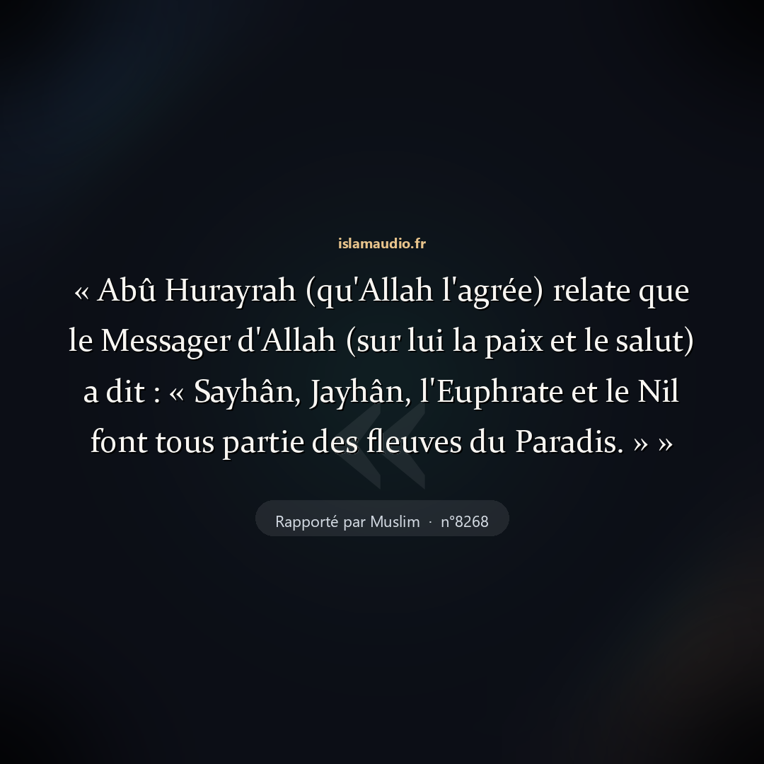 Aperçu du hadith