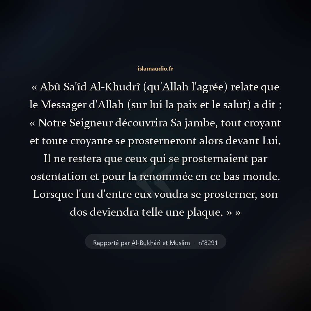 Aperçu du hadith