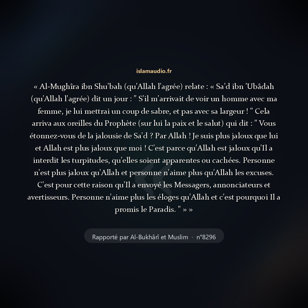 Aperçu du hadith