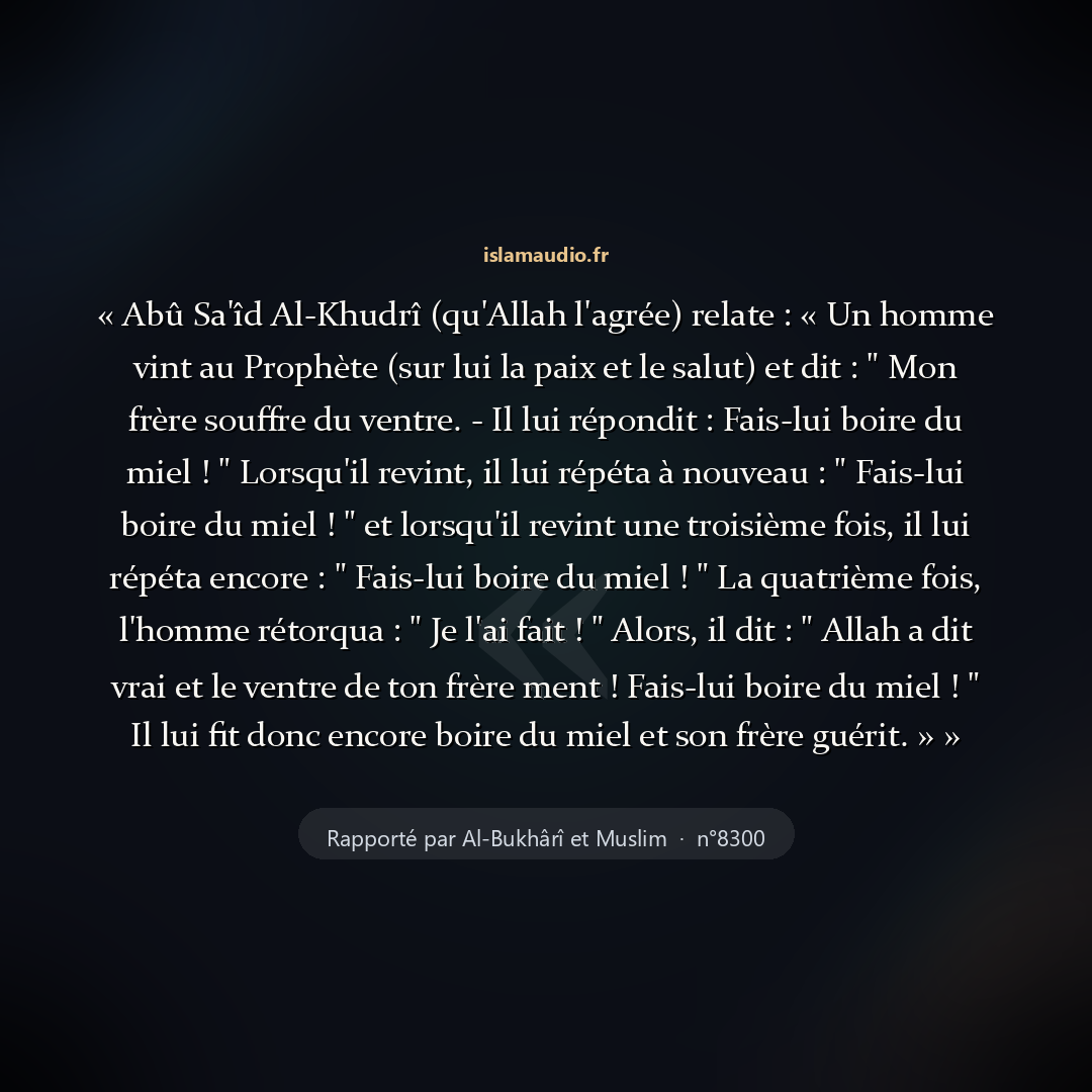 Aperçu du hadith
