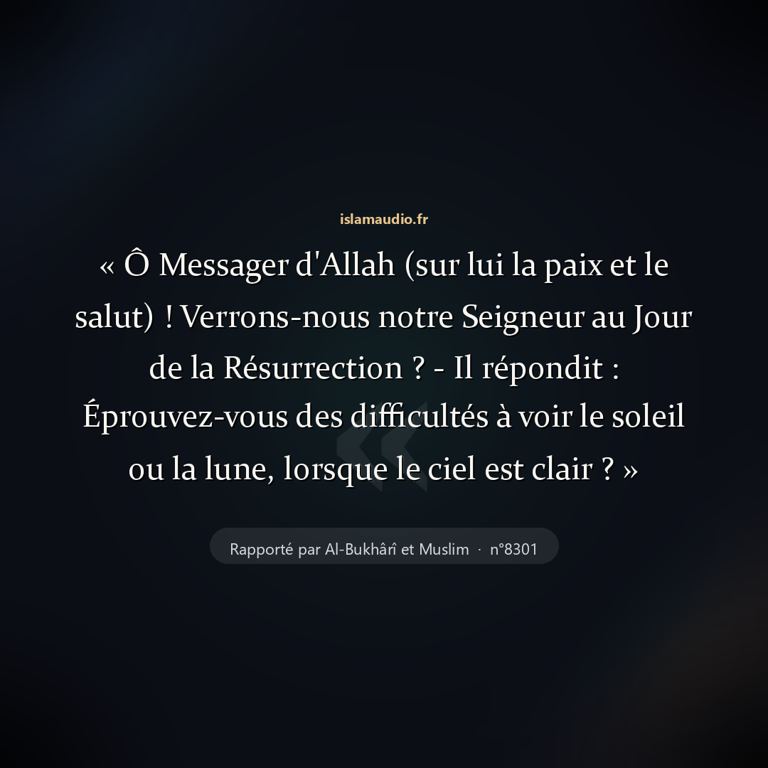 Aperçu du hadith