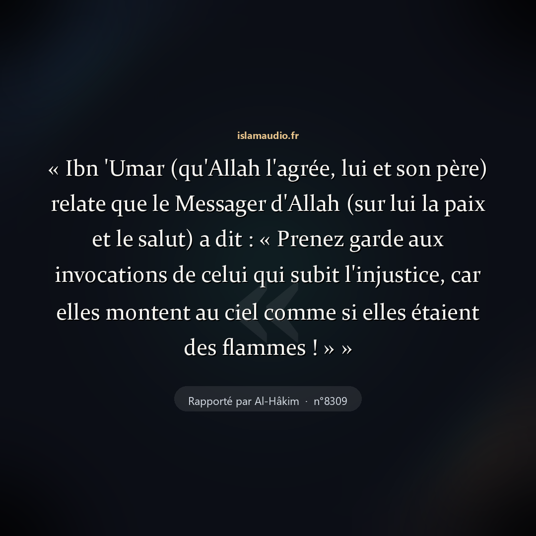 Aperçu du hadith