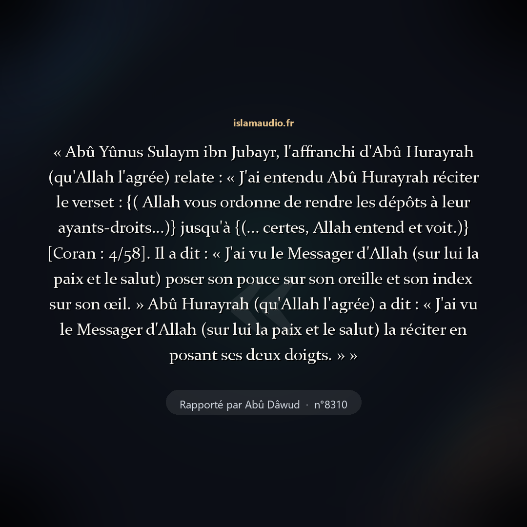 Aperçu du hadith