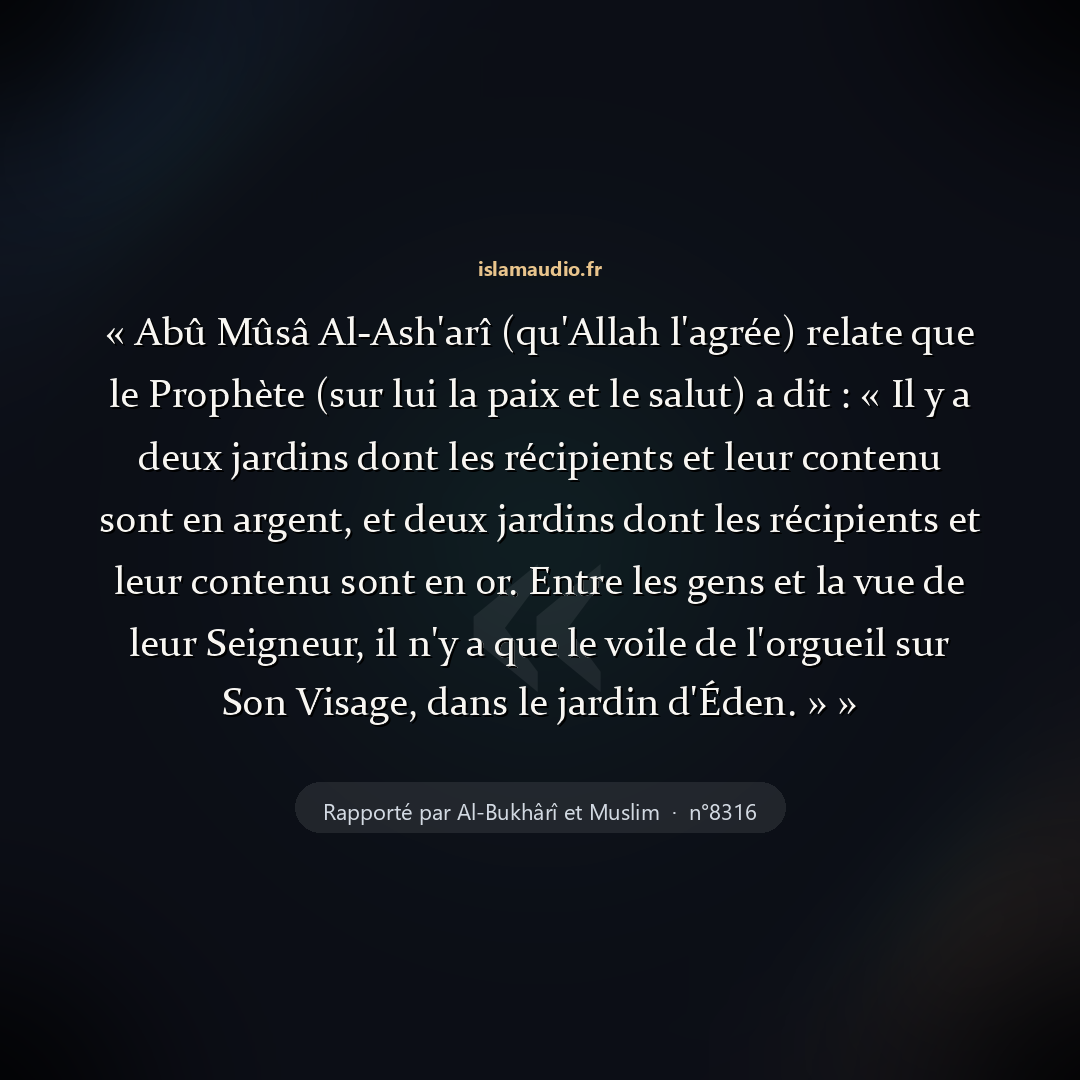 Aperçu du hadith