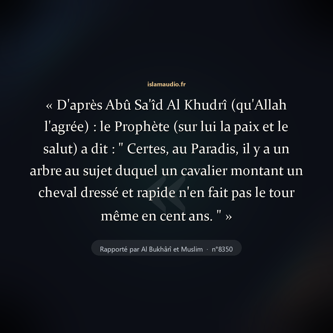 Aperçu du hadith