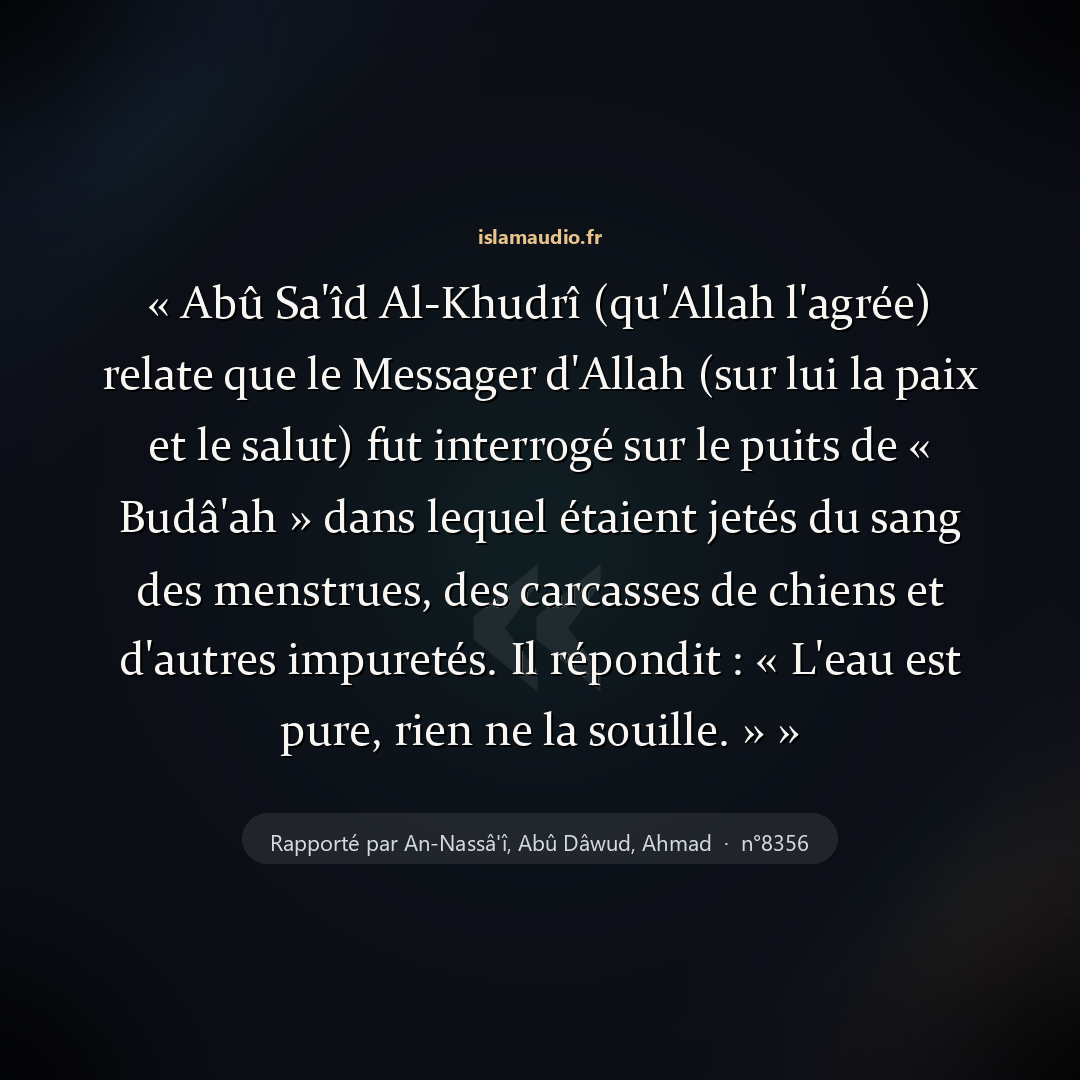 Aperçu du hadith