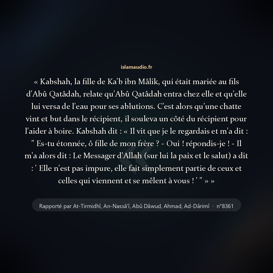 Aperçu du hadith