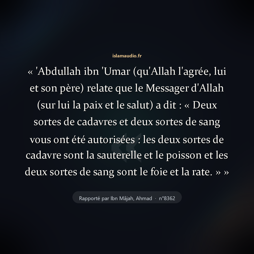 Aperçu du hadith