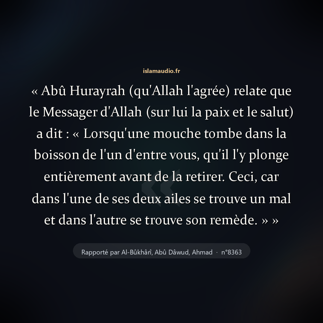 Aperçu du hadith