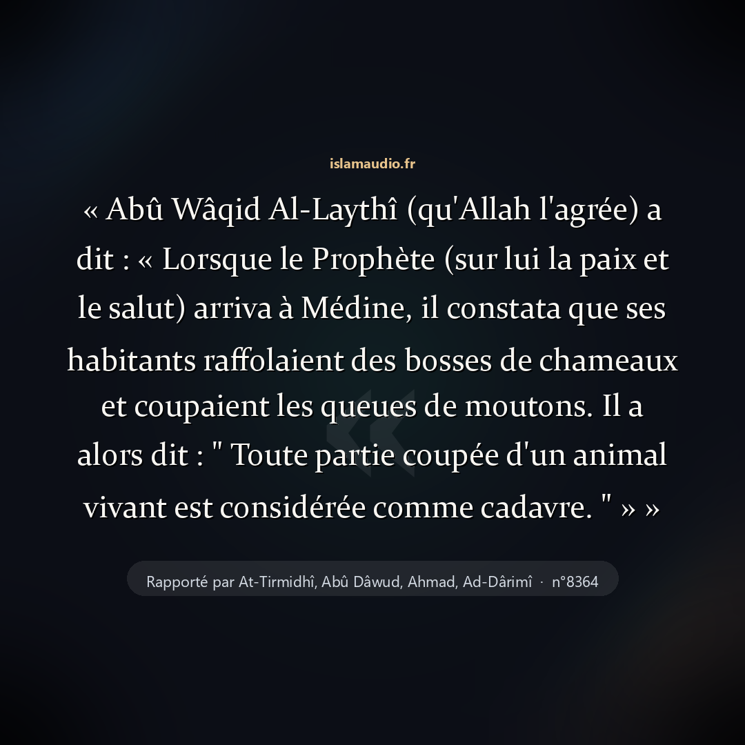 Aperçu du hadith