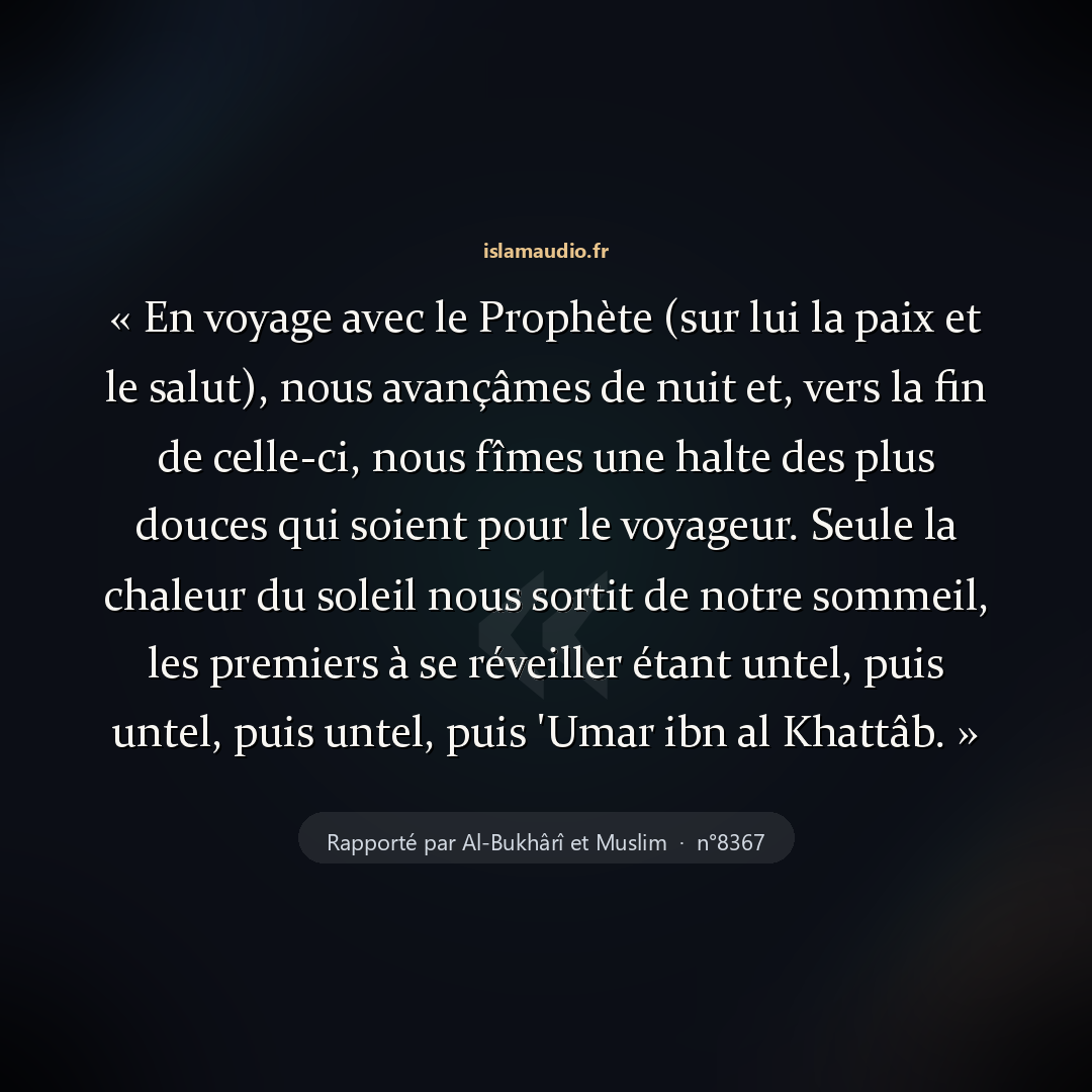 Aperçu du hadith