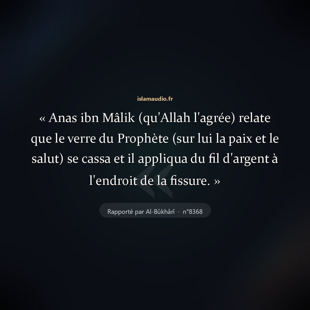 Aperçu du hadith