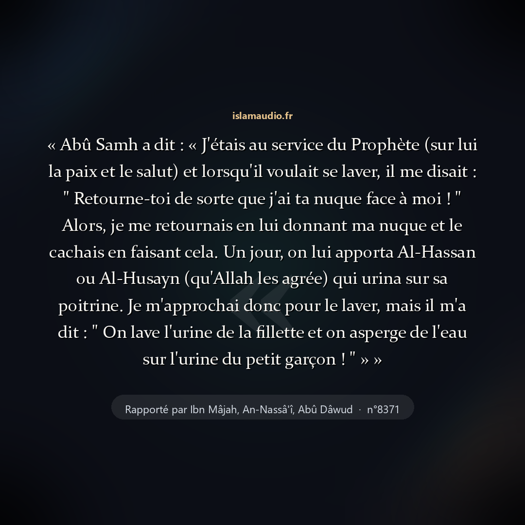 Aperçu du hadith