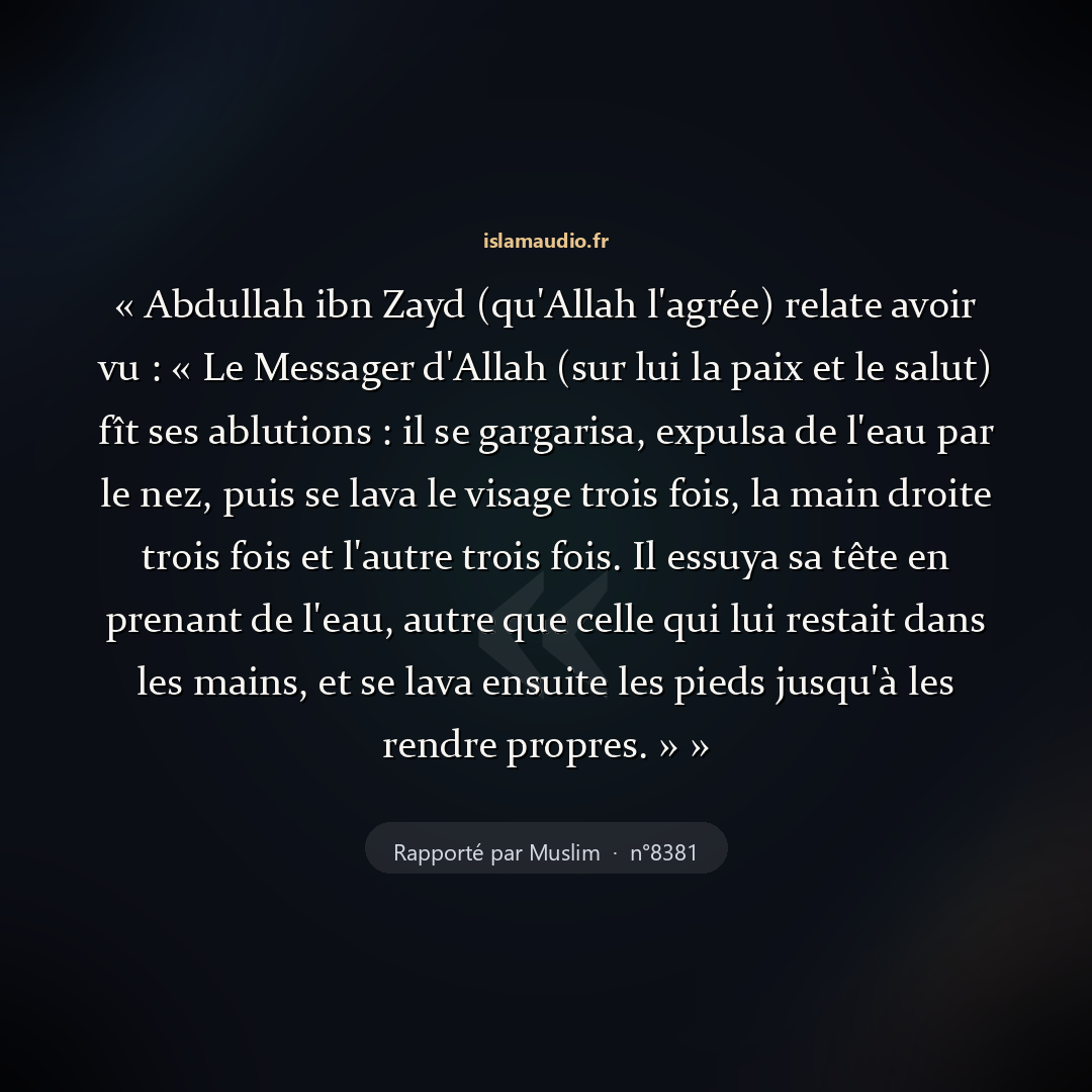 Aperçu du hadith