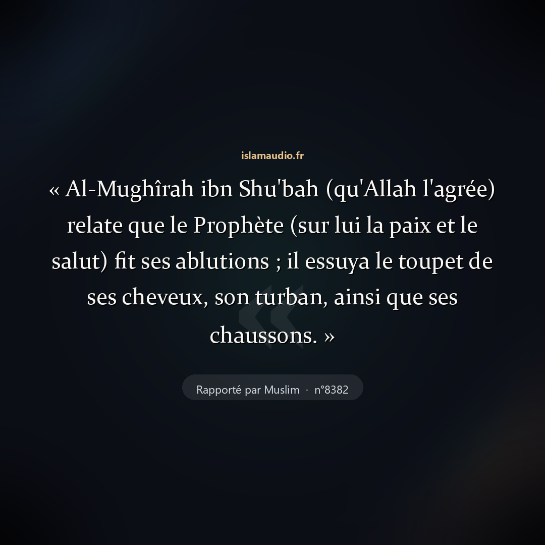 Aperçu du hadith