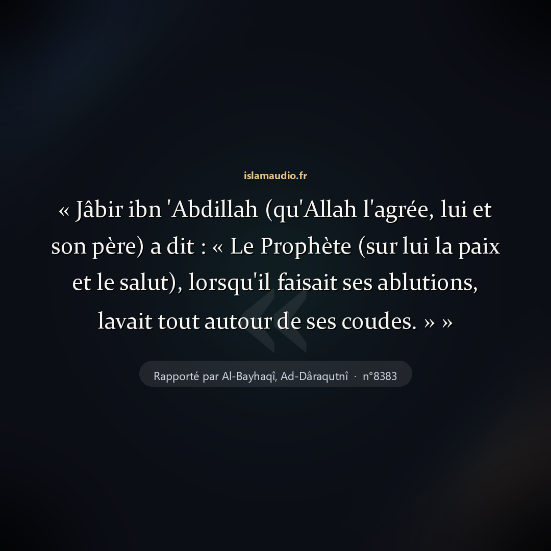 Aperçu du hadith