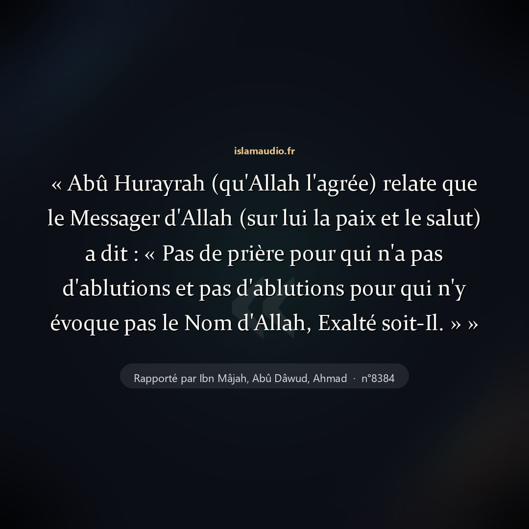 Aperçu du hadith