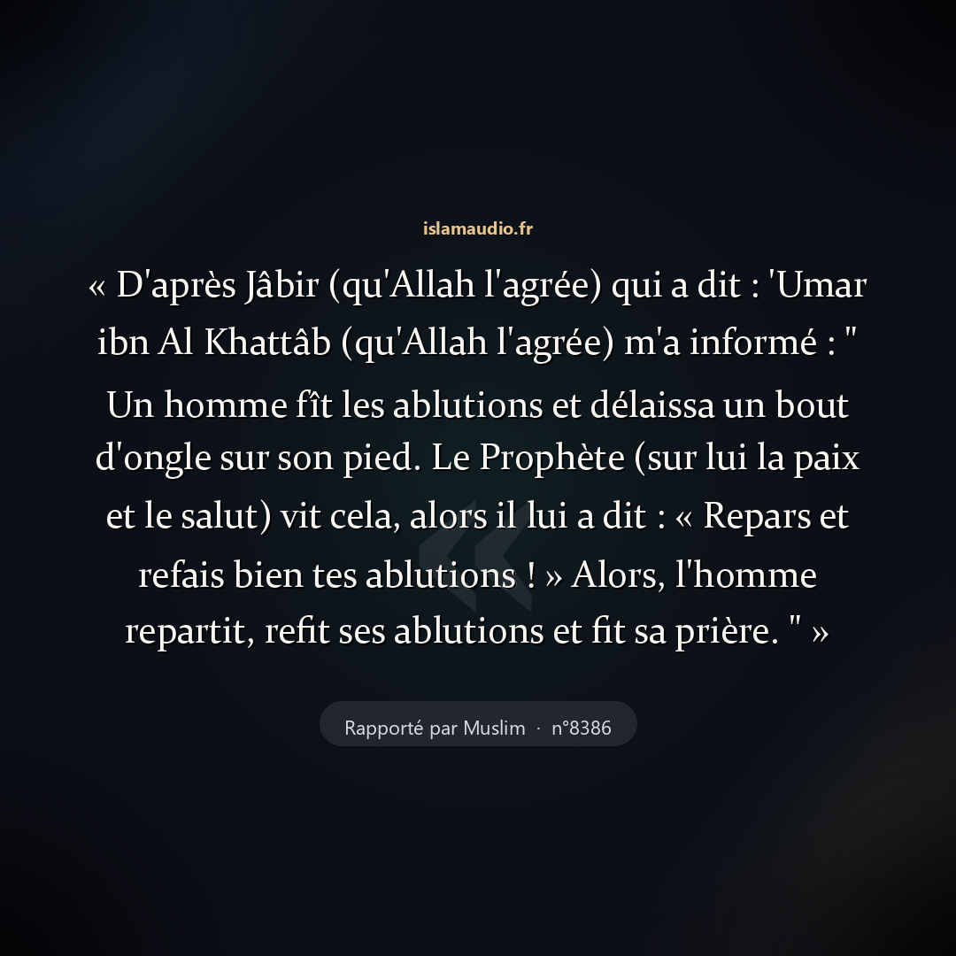 Aperçu du hadith