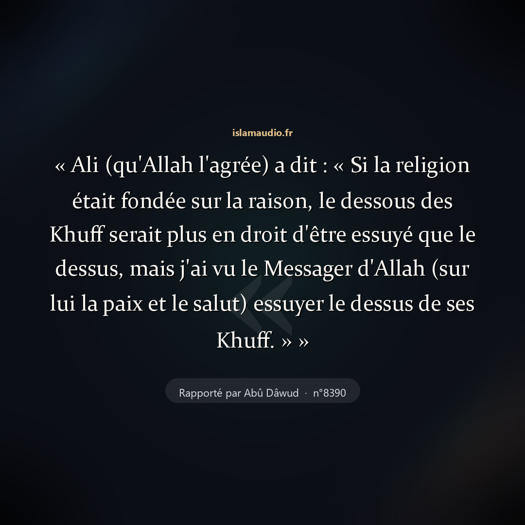 Aperçu du hadith