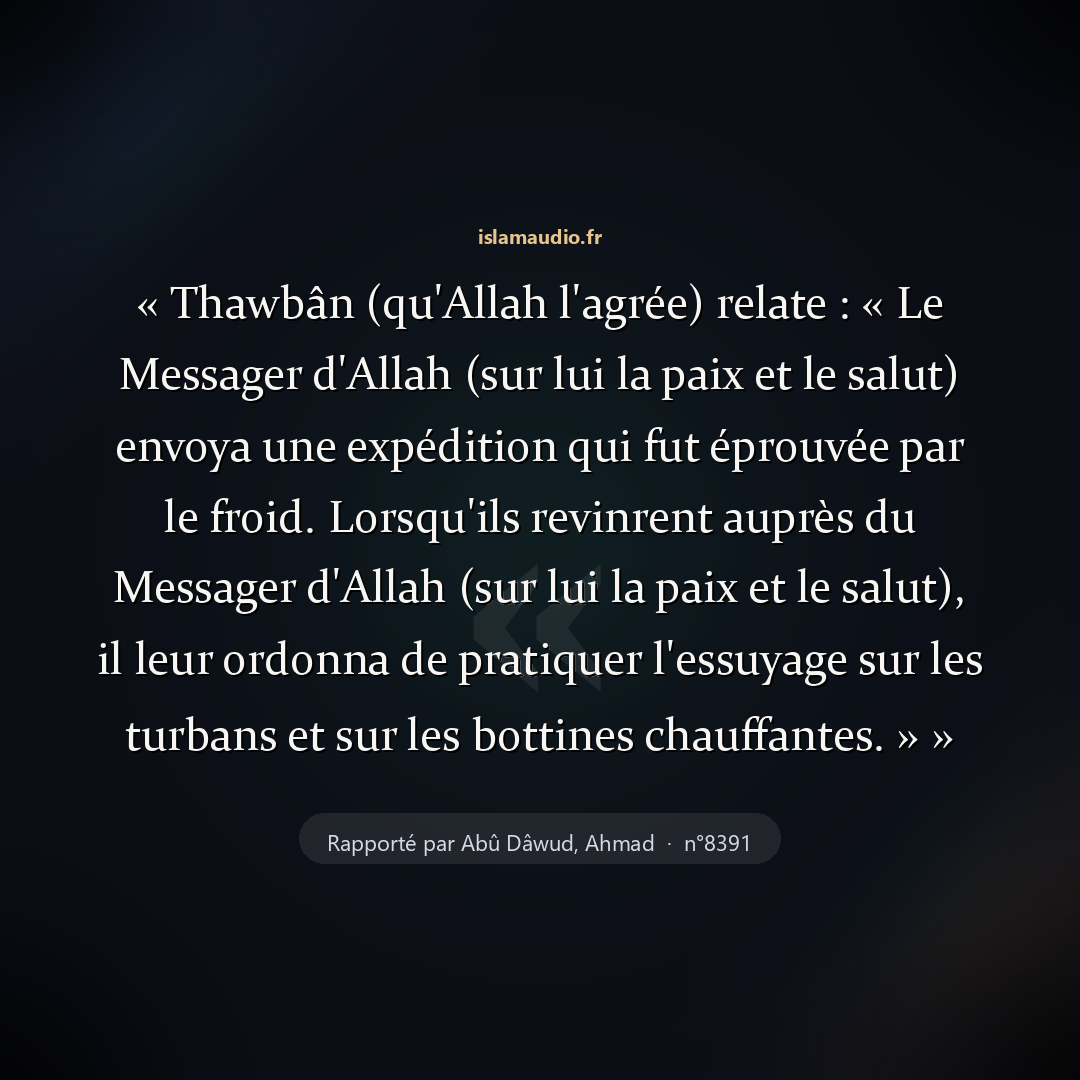 Aperçu du hadith