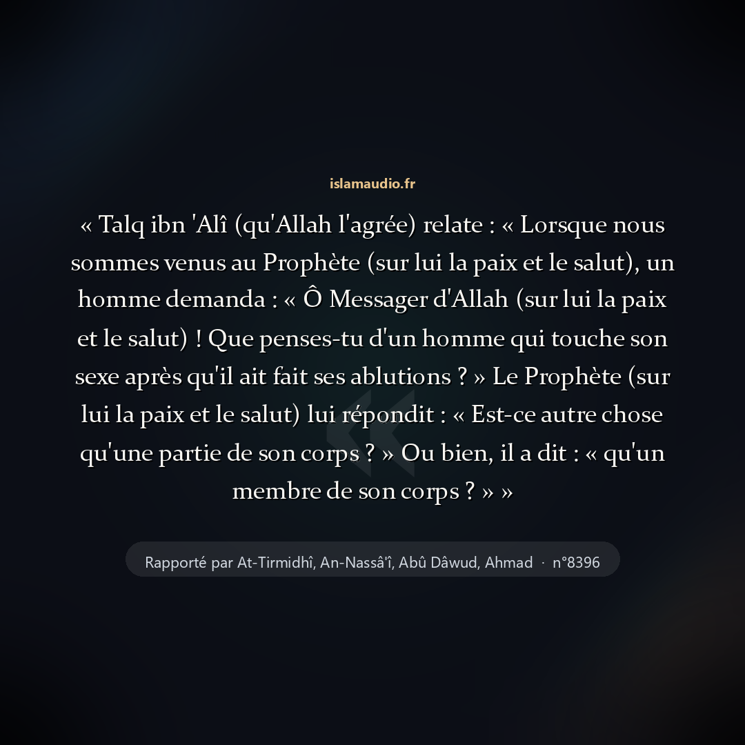 Aperçu du hadith