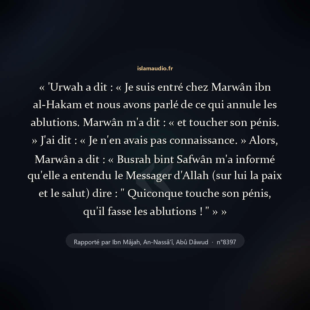 Aperçu du hadith