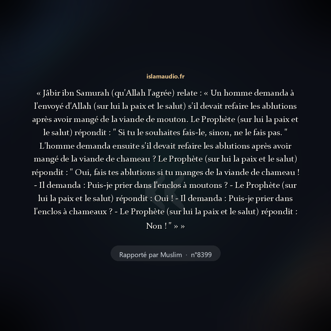 Aperçu du hadith