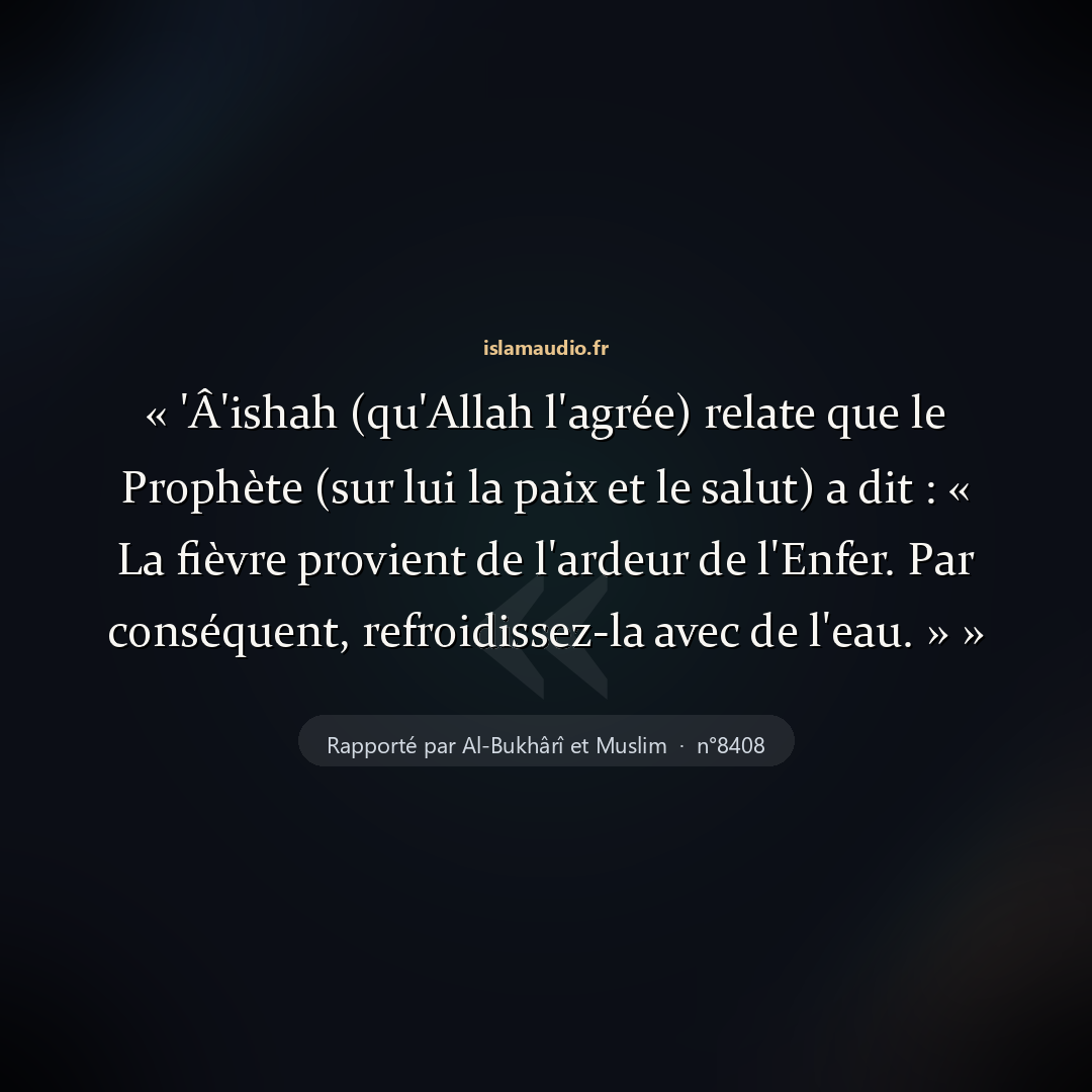 Aperçu du hadith