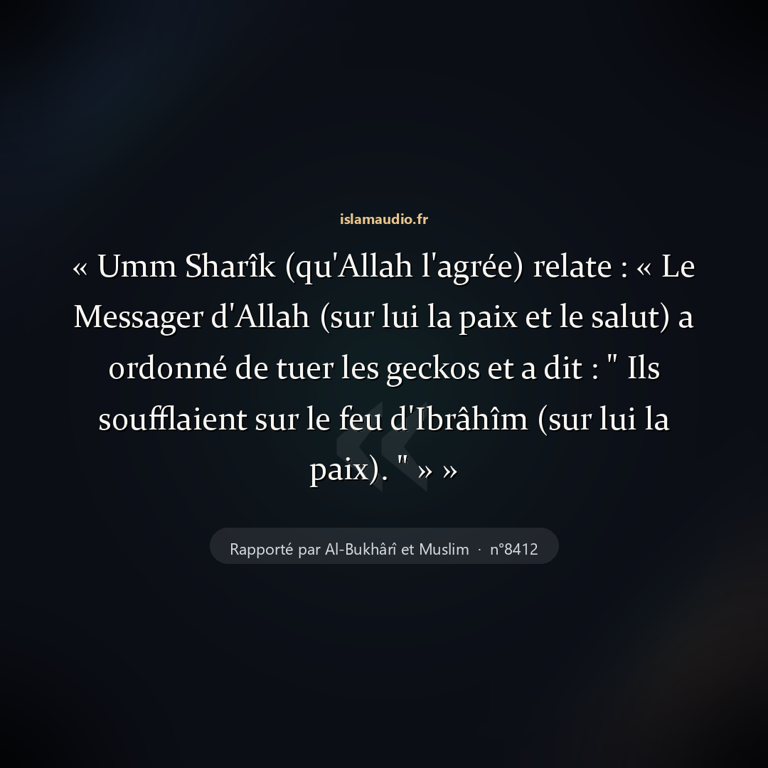 Aperçu du hadith