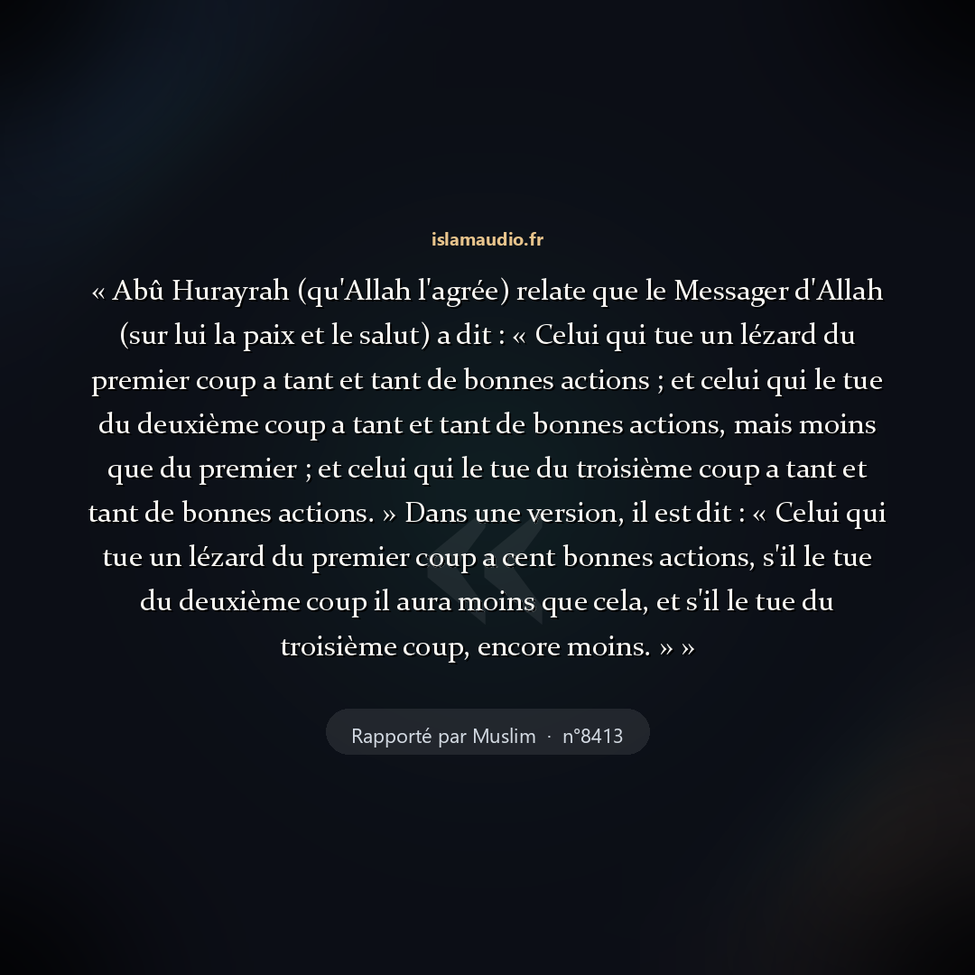 Aperçu du hadith