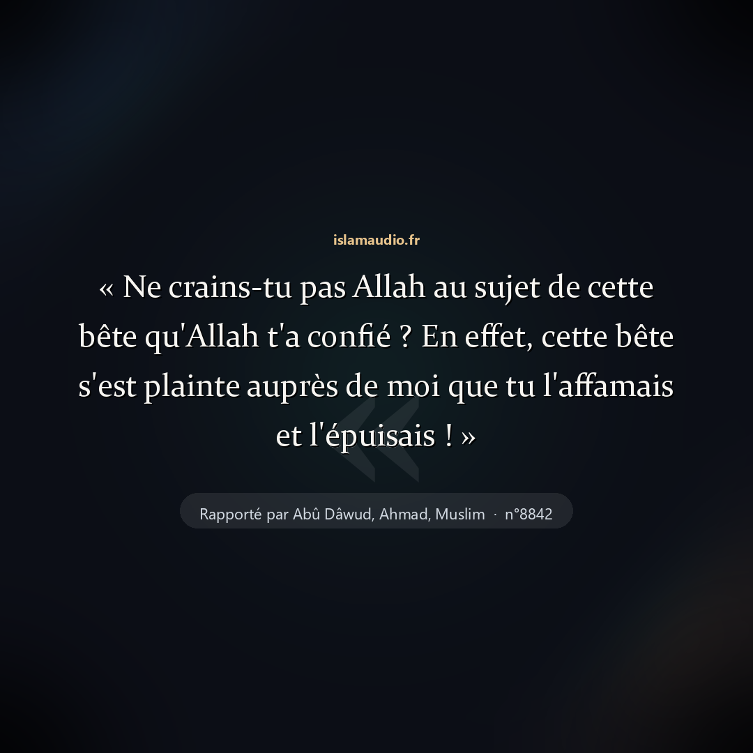 Aperçu du hadith