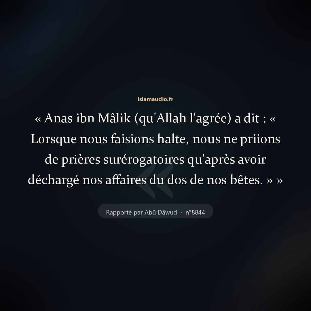 Aperçu du hadith