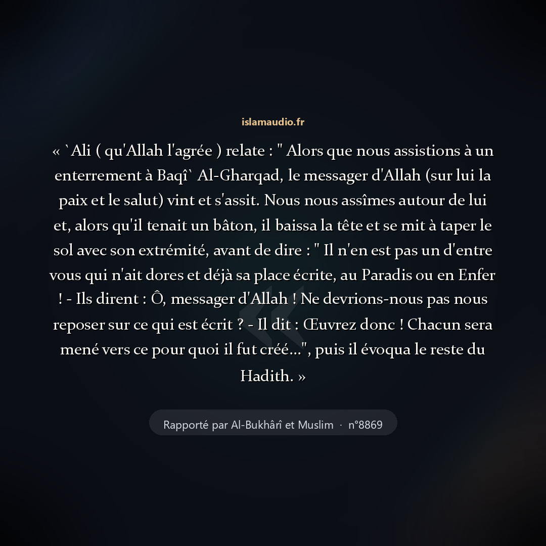 Aperçu du hadith