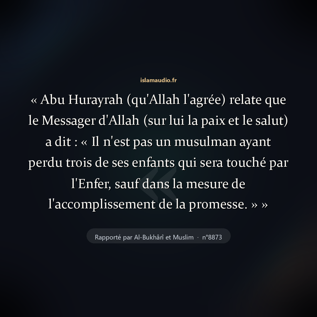 Aperçu du hadith