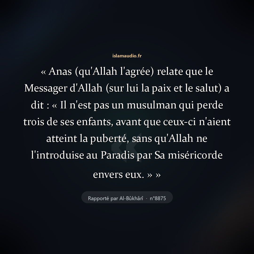Aperçu du hadith