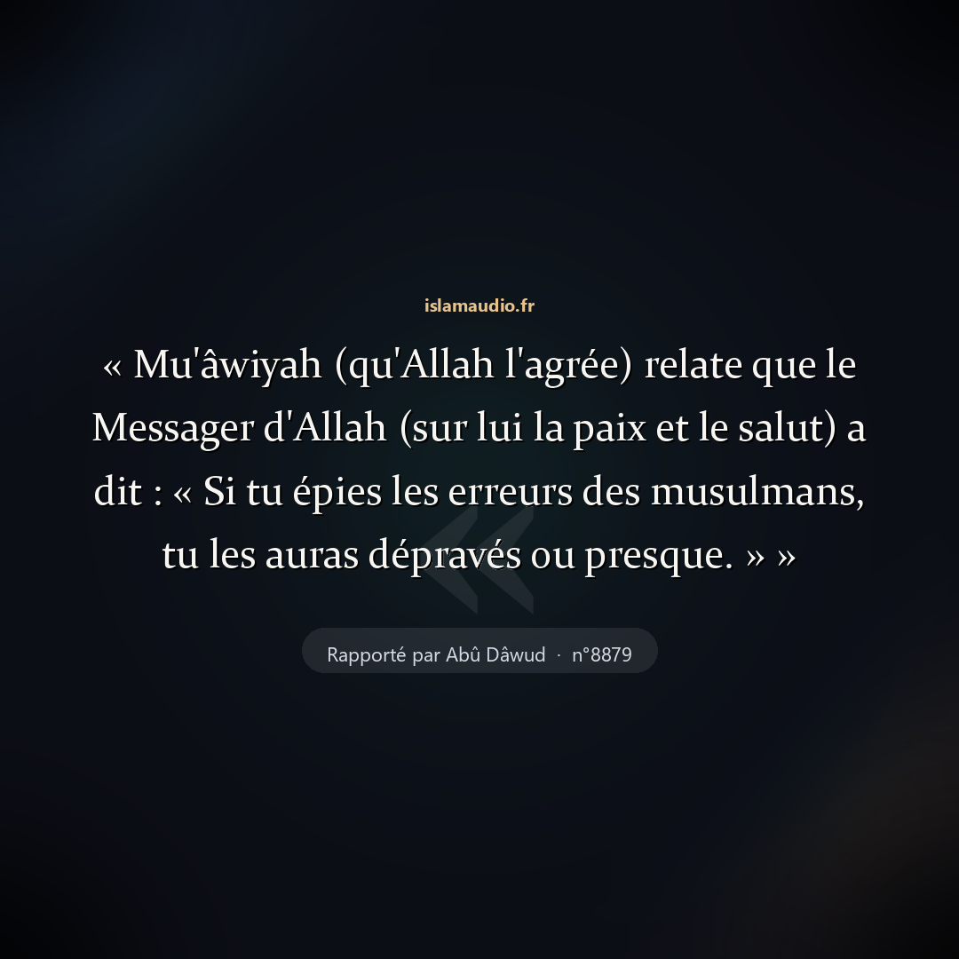 Aperçu du hadith