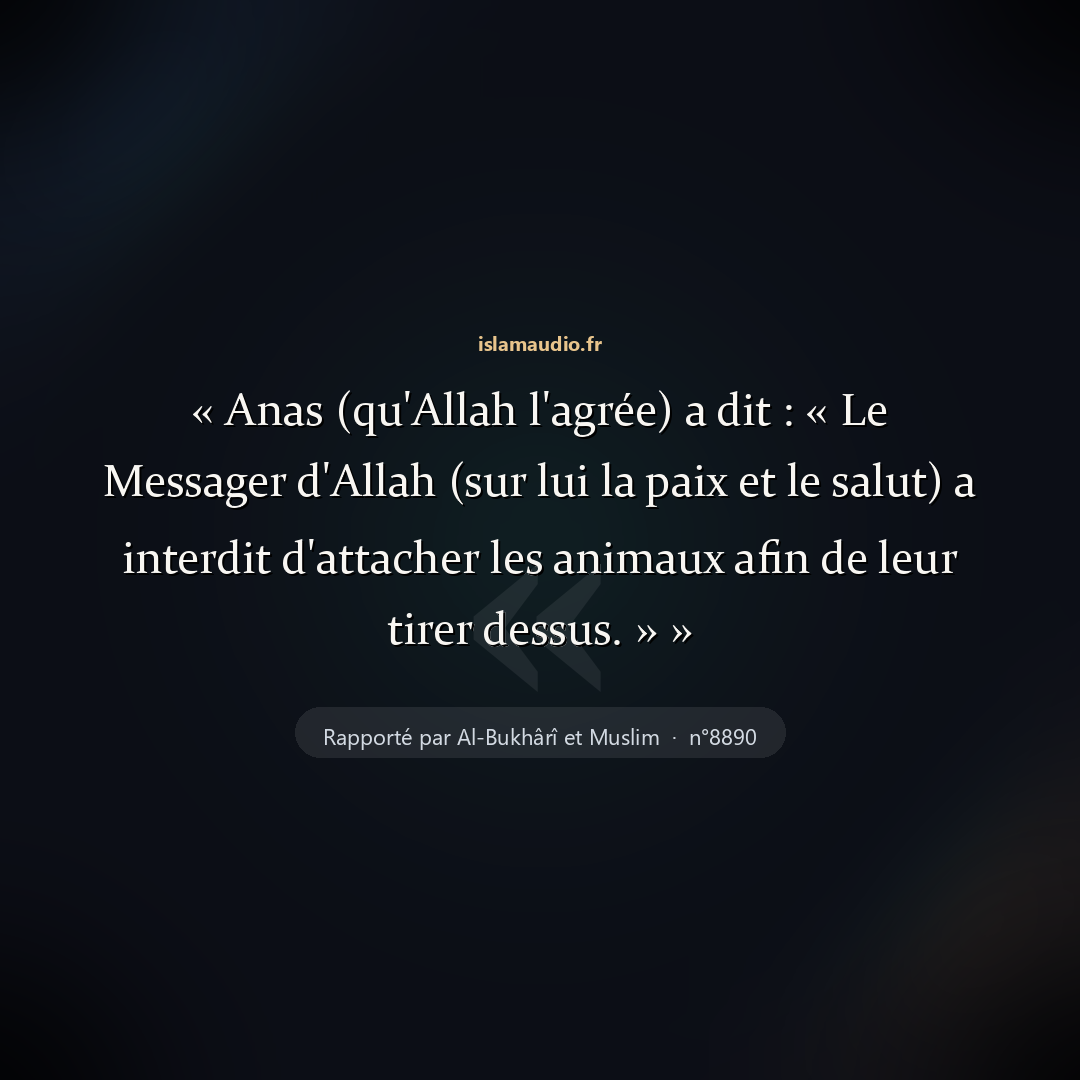 Aperçu du hadith