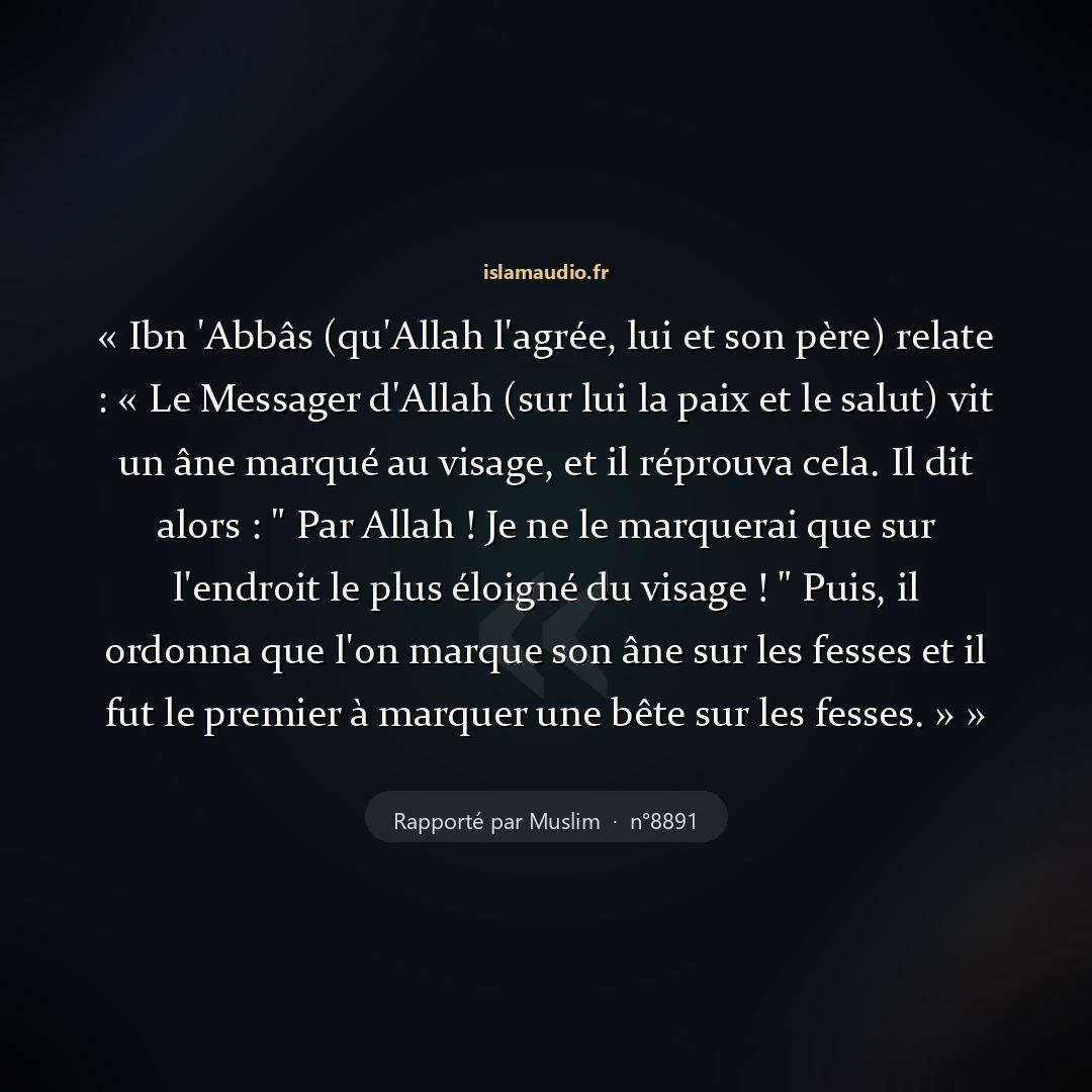 Aperçu du hadith