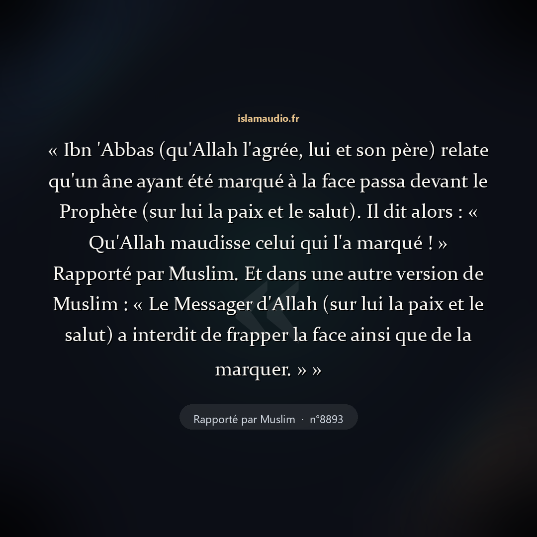 Aperçu du hadith