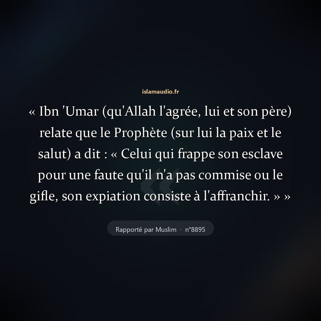 Aperçu du hadith