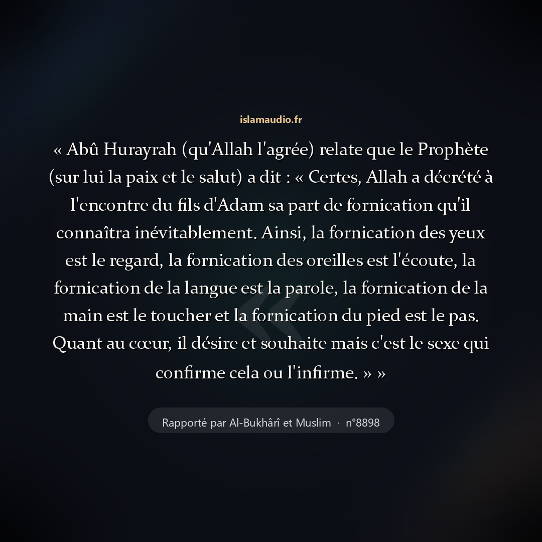 Aperçu du hadith