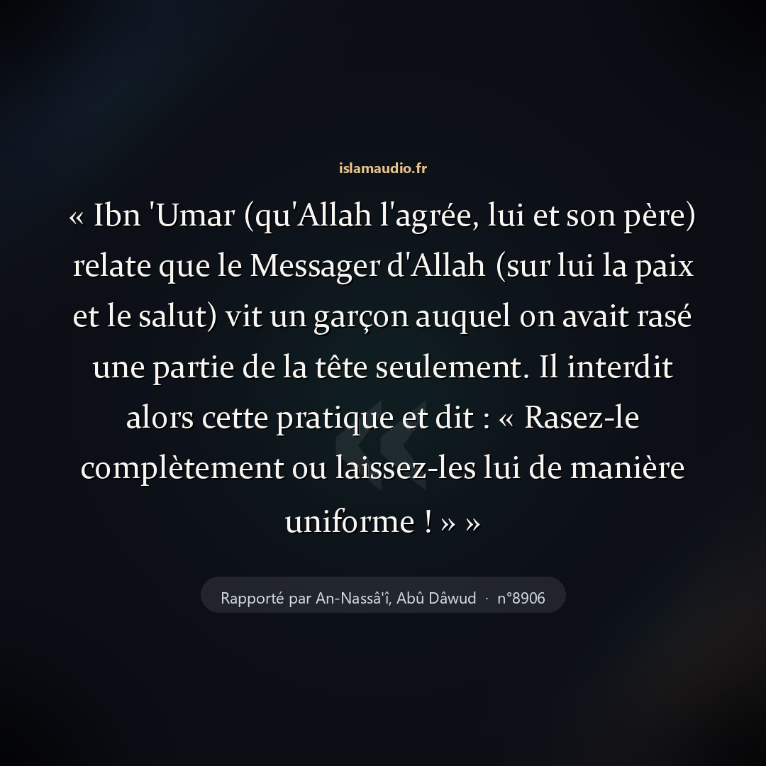 Aperçu du hadith