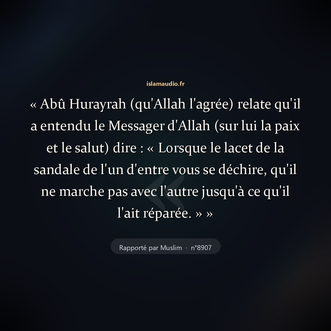 Aperçu du hadith