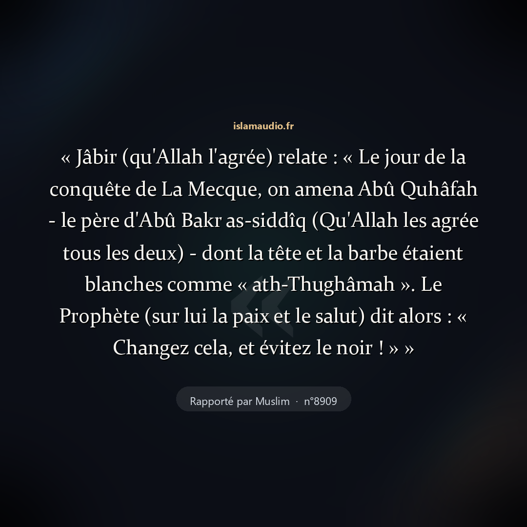 Aperçu du hadith